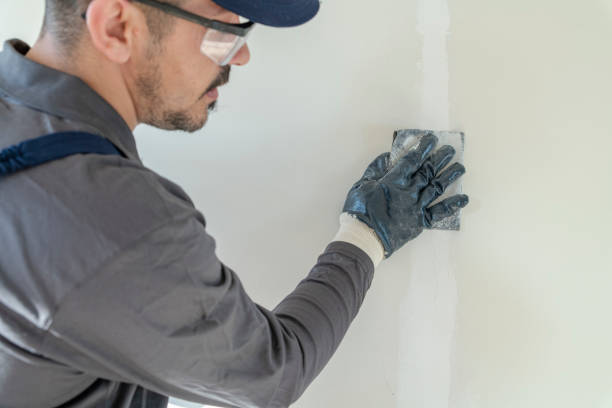 Best Environmental Consulting for Mold Prevention  in Billington Heights, NY