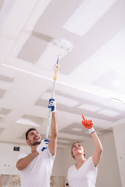 Best Forensic Mold Investigation  in Billington Heights, NY
