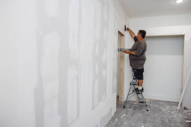Best Emergency Mold Remediation  in Billington Heights, NY