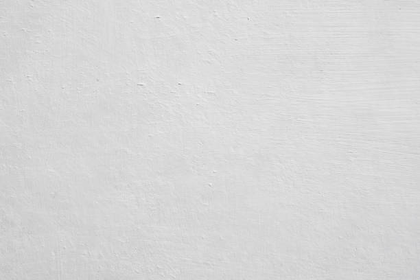  Billington Heights, NY Mold Removal Pros
