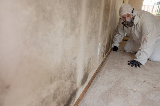 Best Residential Mold Inspection & Testing  in Billington Heights, NY