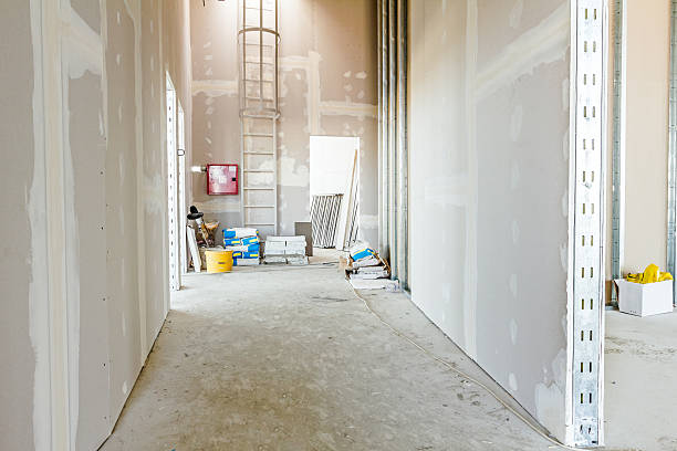 Best Mold Damage Restoration  in Billington Heights, NY